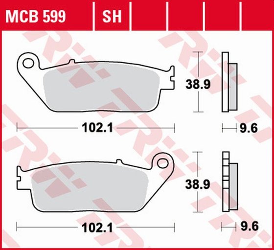 CTX 1300 (2014 - 2019) sintered metal brake pad | TRW