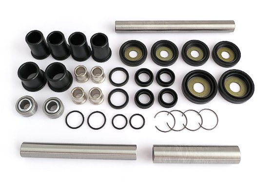 TRX 650 RINCON (2003 - 2005) rebuild kit for rear independent suspension | EPI