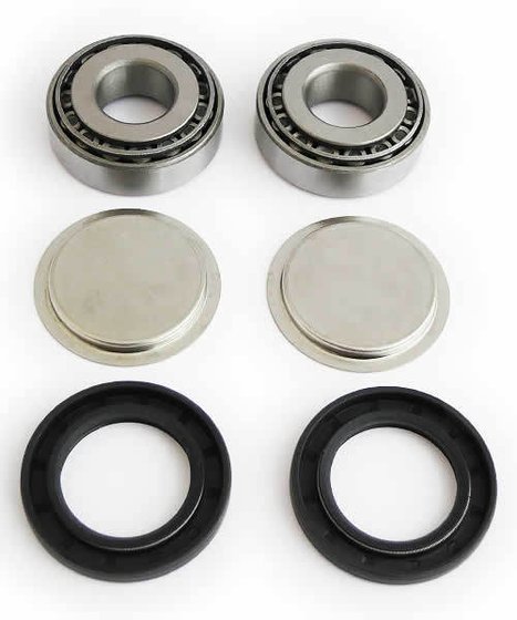 ATC 250 (1985 - 1987) epi rear swing arm repair kit | EPI