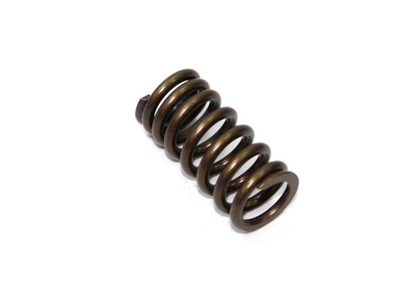 CRF 250 R (2008 - 2009) exhaust valve spring | NACHMAN