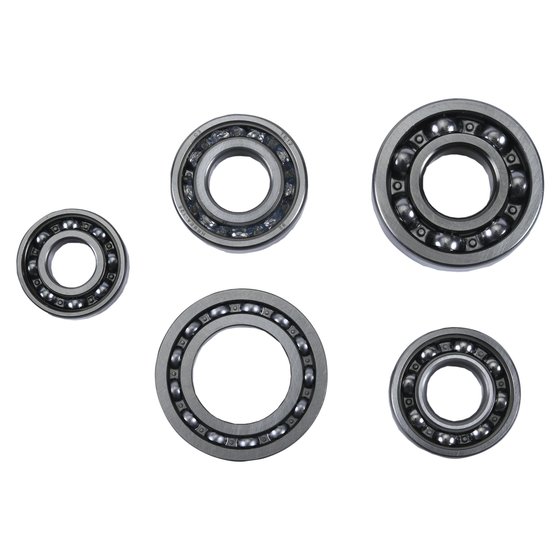 TRX 500 (2005 - 2011) transmission bearing kit | Hot Rods