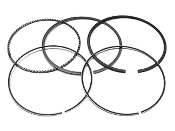 TRX 400 FOURTRAX (1995 - 2003) piston rings | NAMURA